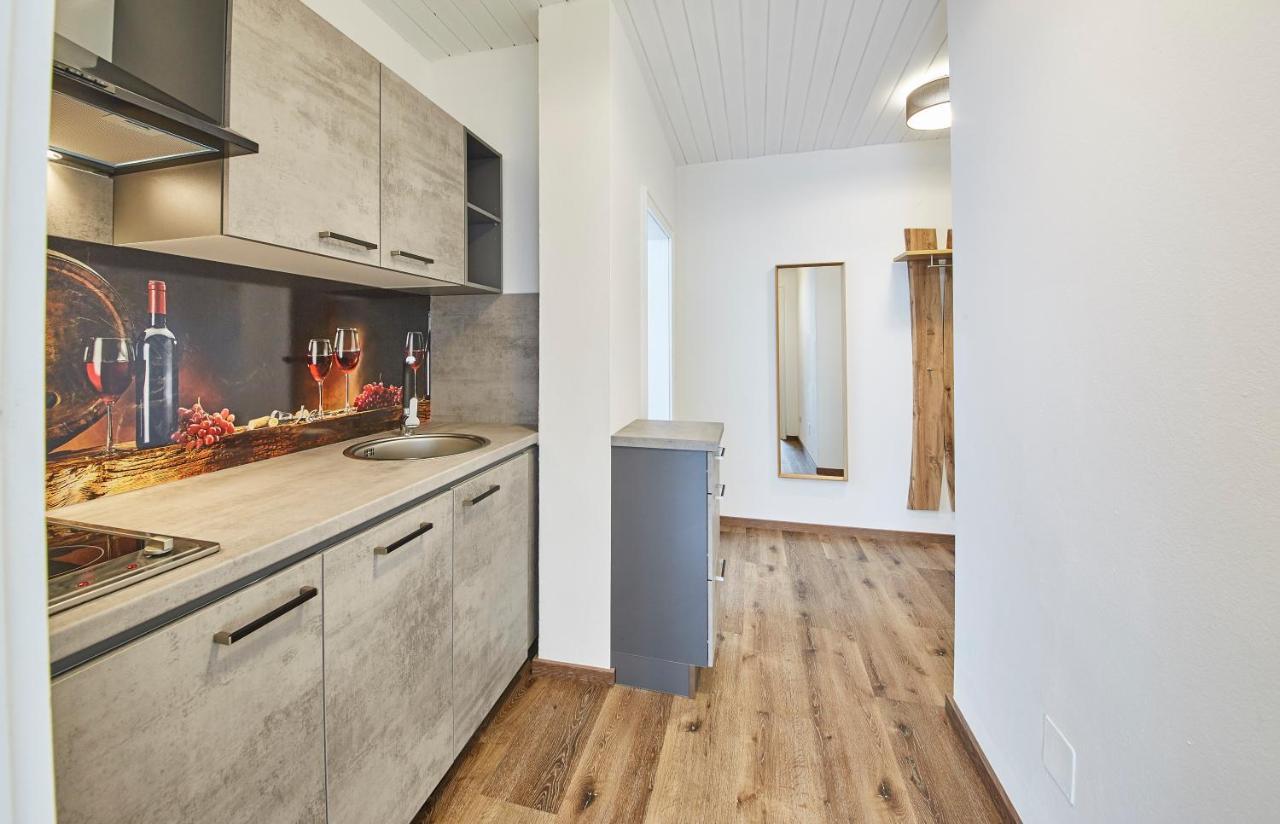 Appartements Haus Alexander ซาลบาคฮินเทอร์เกลมม์ ภายนอก รูปภาพ